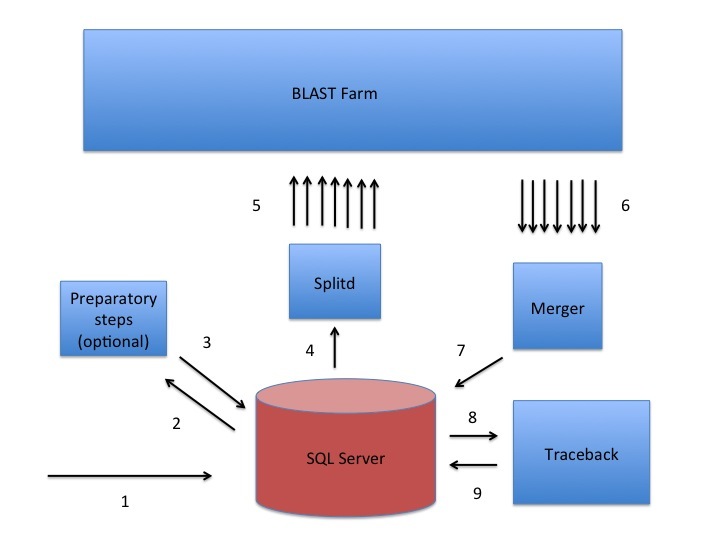Figure 1: . A sketch of the Splitd system used at the NCBI for processing BLAST requests.