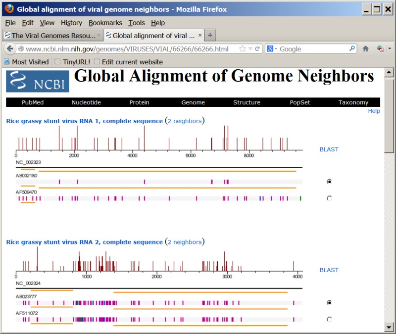 Figure 2. . Global alignment of genome neighbors with the RefSeq of Rice grassy stunt virus (NC_002323 and NC_002324).