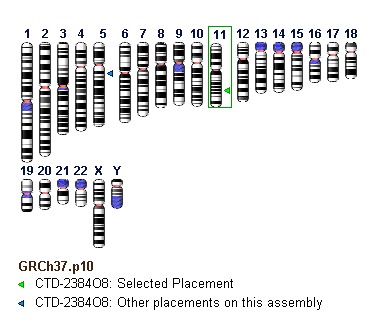 Figure 8: . Ideogram from individual genomic clone record displays showing clone placements (arrowheads).