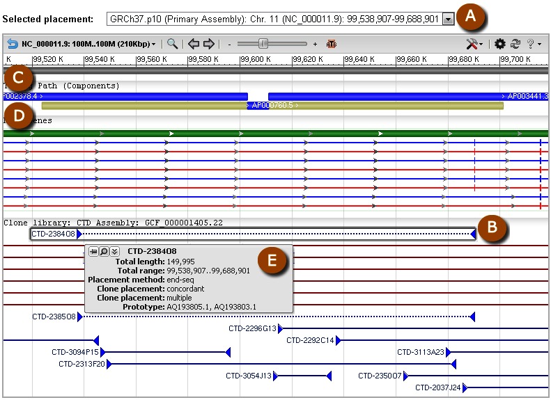 Figure 9. . Screenshot showing graphical display of clone placement in an individual genomic clone record.