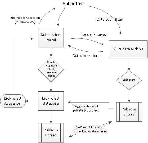 Figure 1. . Workflow of BioProject submission.