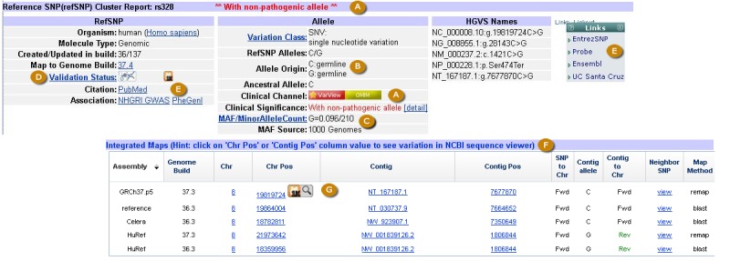 Figure 2A. . The refSNP Summary Report: Allele Summary and Integrated Maps Sections.