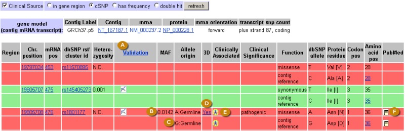 Figure 2C. . The refSNP Summary Report: The GeneView Display.