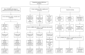 Figure 1. . Algorithm for diagnosis of the creatine deficiency disorders.