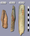Figure 1. Neanderthal bone fragments.