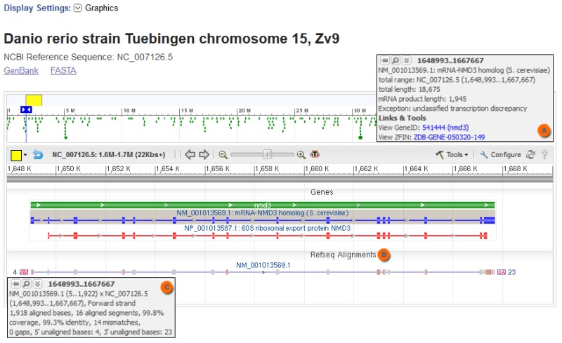 Figure 1. . Compared to the genomic sequence of zebrafish chromosome 15 (NC_007126.