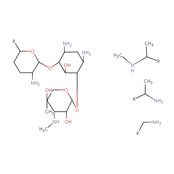 Gentamicin chemical structure
