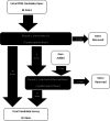 Figure 1. Schematic Depicting Cognitive Interview Process for PRSE Item Bank.