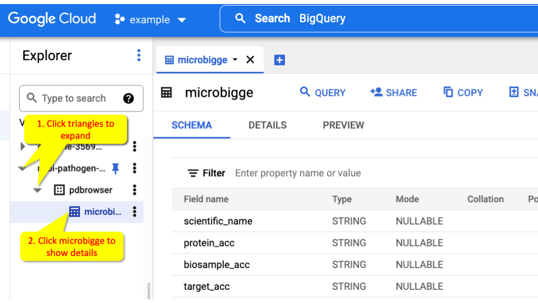 Use the Data Explorer to get information about the BigQuery table