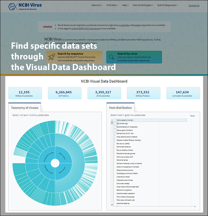 Search for data set through the dashboard